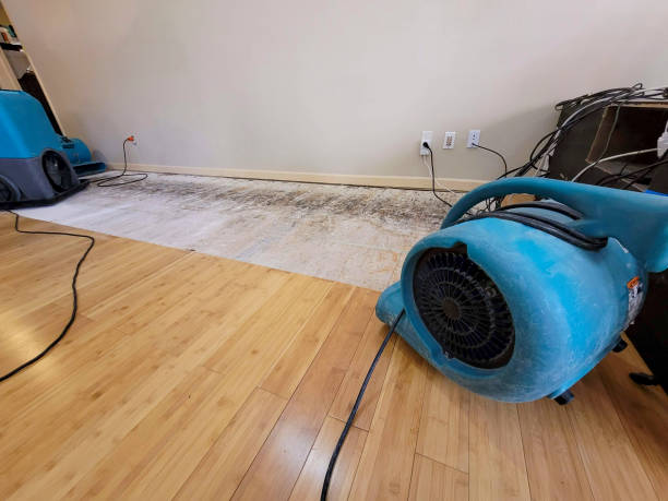 Professional Sewage Cleanup technician working in Appleton, MN